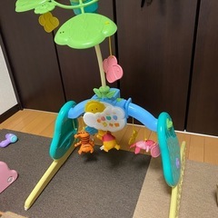 プーメリーの画像