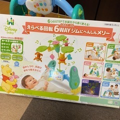 プーメリーの画像