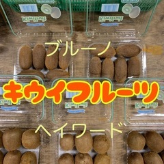 ☆和歌山県産キウイフルーツ☆小玉1パック☆③