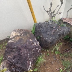 庭石差し上げますの画像