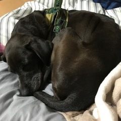 再投稿 - 山口市