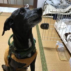 再投稿 − 山口県