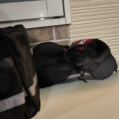 バイク、サイドバック、ハンドルカバーの画像