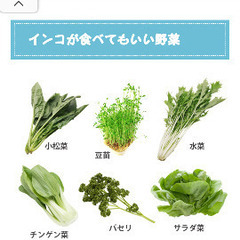 カラオケメン募