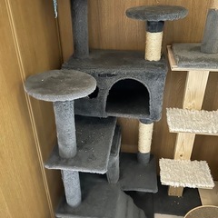 本日引き取りの方のみ1200円キャットタワー