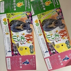 東山動植物園チケット