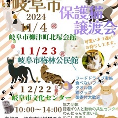 🌼🐱本日！岐阜市・猫の譲渡会🐱🌼
