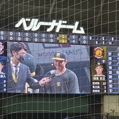 阪神タイガースをこよなく愛する方、一緒に応援しませんか？ − 東京都