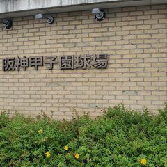阪神タイガースをこよなく愛する方、一緒に応援しませんか？ - メンバー募集