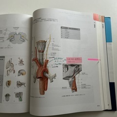 プロメテウス解剖学の画像