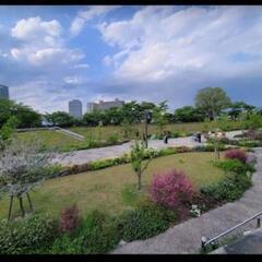 草津川跡地公園歩こう会