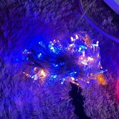 値下げ　クリスマス　イルミネーションの画像