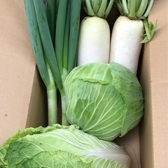 冬野菜セット（おまけあり）