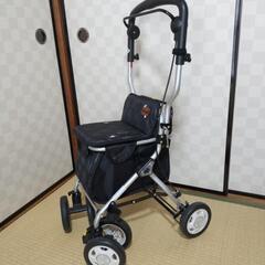 シニアカー。ワンちゃんカーの画像