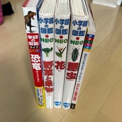 図鑑セット　5冊の画像