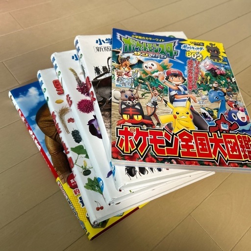 図鑑セット5冊 (やっさん) 篠原の本/CD/DVDの中古あげます・譲ります