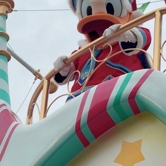 クリスマスディズニー一緒に行ける方！