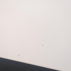 【お取引中】折りたたみテーブル白の画像