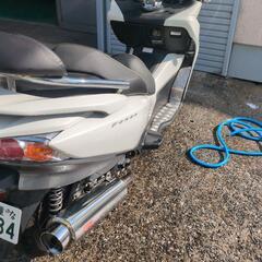 フォルツァ250中古車の画像