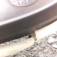 取引決定ジャイロキャノピーの画像