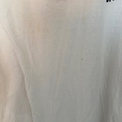 ホリスターメンズTシャツの画像