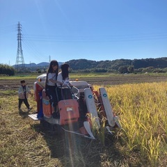 いずれきたる食料危機に備えて、稲作を一緒にやりませんか。田んぼの...