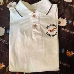 ホリスターメンズTシャツの画像