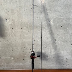 アジングロッドx月下美人(リール)
