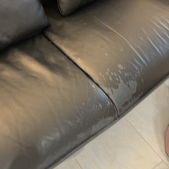 ニトリのソファの画像