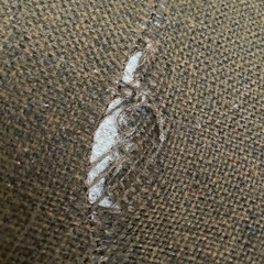 お届け可能！座椅子の画像