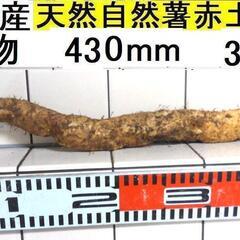 すぐにお渡しできます ♪黒部産・超粘り！赤土粘土の典型的天然自然...