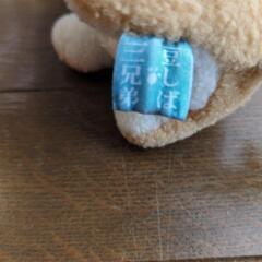‼️豆しば‼️の画像