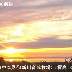 すぐにお渡しできます ♪産・超粘り！赤土粘土の典型的天然自然薯5本≒270gの画像