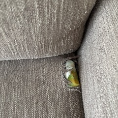 ニトリ カウチソファ 3人掛けの画像