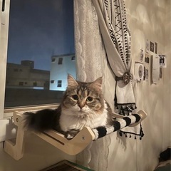 ベッドサイド　
