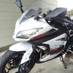 5/5まで Ninja250 EX250L ABS付 ワンオーナー カワサキの画像