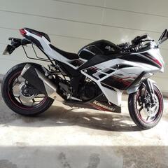 4/30まで Ninja250 EX250L ABS付 ワンオー...