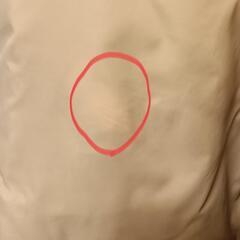 NATURAL BEAUTY BASIC ダウンジャケットの画像