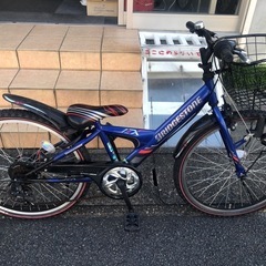 BS エクスプレスjr246 BLU
の画像