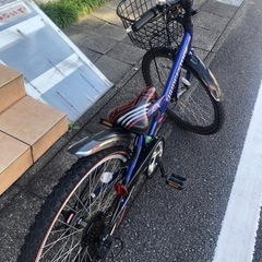 BS エクスプレスjr246 BLU
の画像