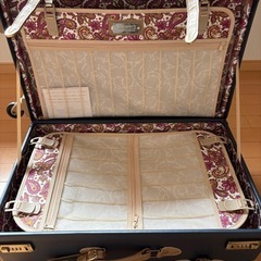 【取引完了】アクタスカラーズ　 キャリーバッグ　キャリーケースの画像