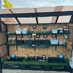 メダカの餌  Googleマップに載ってますの画像