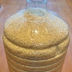 ★早い者勝ち⭕️多用途苗帽子・定植苗保護・植木鉢・米保管・水槽等 　５個〜　売り切り次第 終了の画像