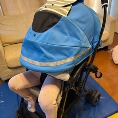 早い者勝ち　エッグショック　コンビ　ベビーカー