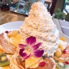 【埼玉・久喜】ランチ、カフェ友募集