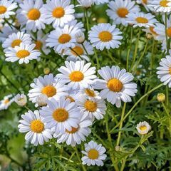 お友達、欲しいです♪