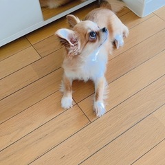 人生変えたい方、向上心のある方は是非‼️