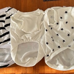 犬　服3点セットの画像