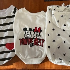 犬　服3点セットの画像