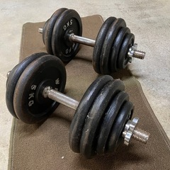 おまけ付き　ダンベル３０キロ　左右６０キロセット
